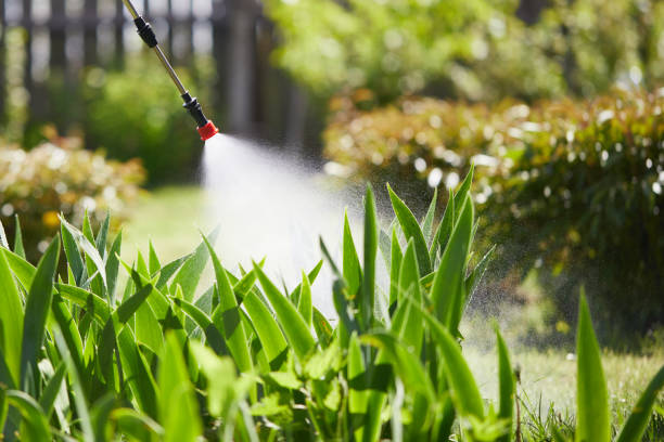 24/7 Emergency Ant Control experts in St. Augustine, FL
