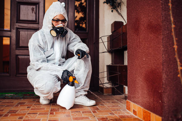 Reliable Ant Control contractor in St. Augustine, FL by Show Me Pest Control