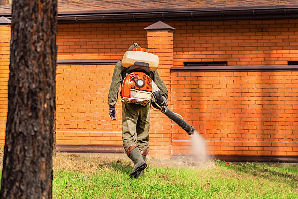 Top rated local Ant Control specialists in St. Augustine, FL
